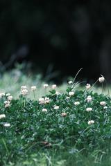 03EE1EE0-2F3E-4167-B440-6CCE9BC477F8/L0/001