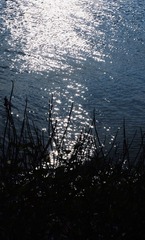 A7B13740-5D2E-4E13-B5B7-AD6D06BFAB38/L0/001