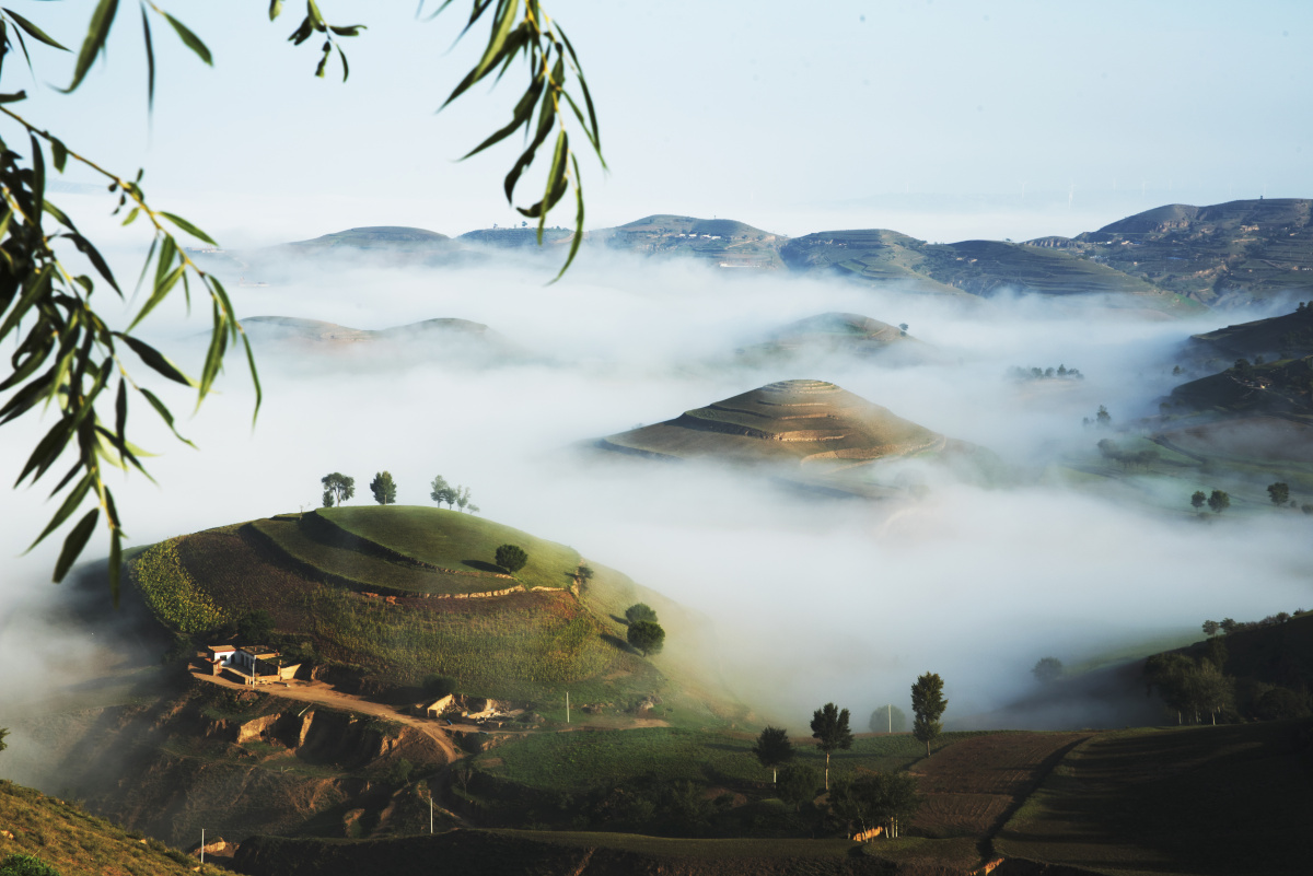 白于山区雾里独特美