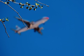 037831BA-0C48-48BD-B13E-1A960E336484/L0/001