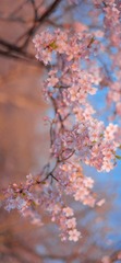 D29A7C87-FF96-45D9-9BC4-7E55C12C773B/L0/001