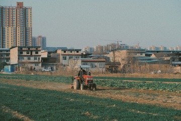 794391