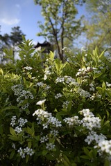 _DSC0702
