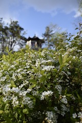 _DSC0704