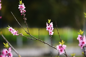 174016