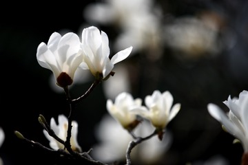 190266