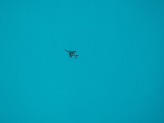 631122