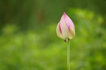 365513