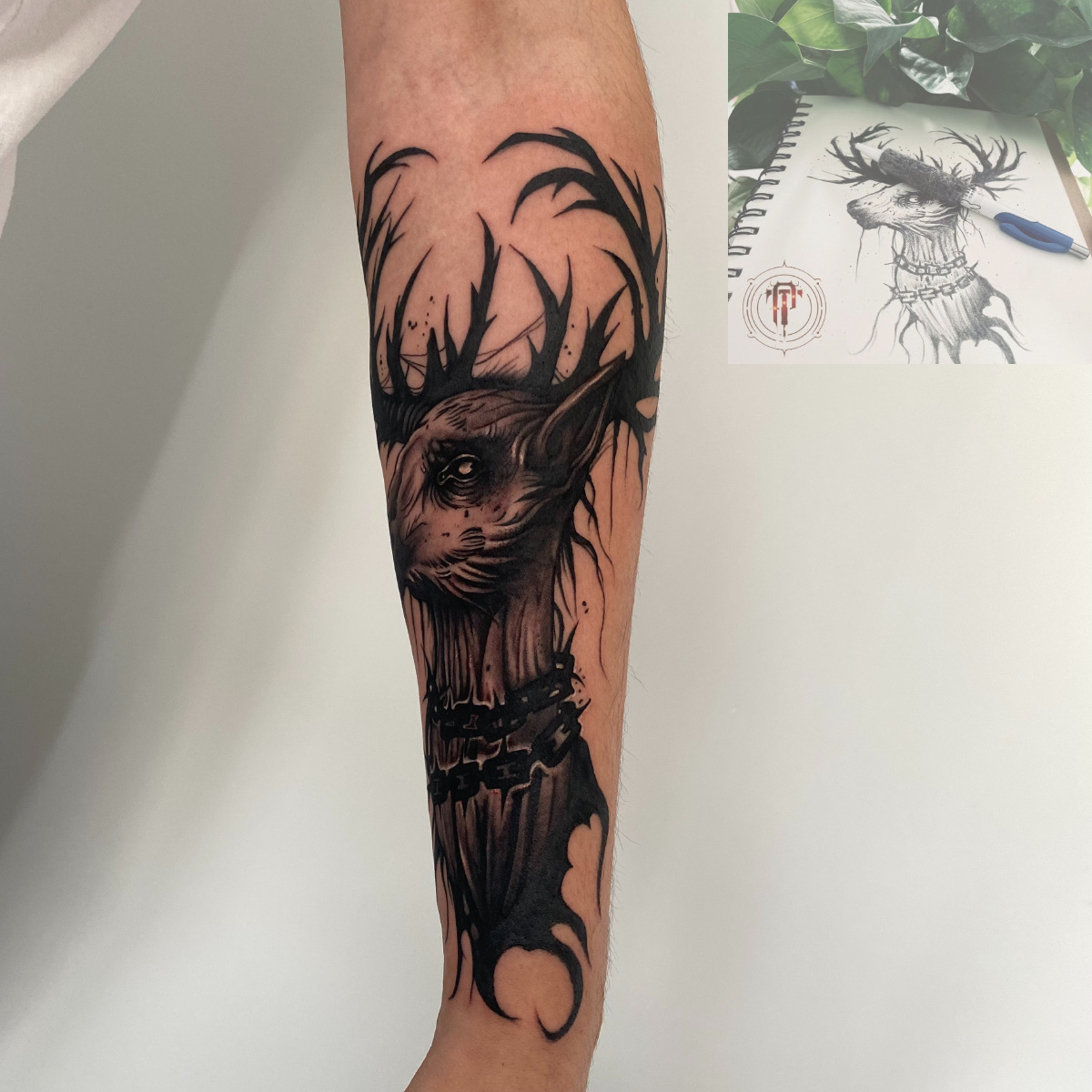 blackwork画稿已出暗黑鹿