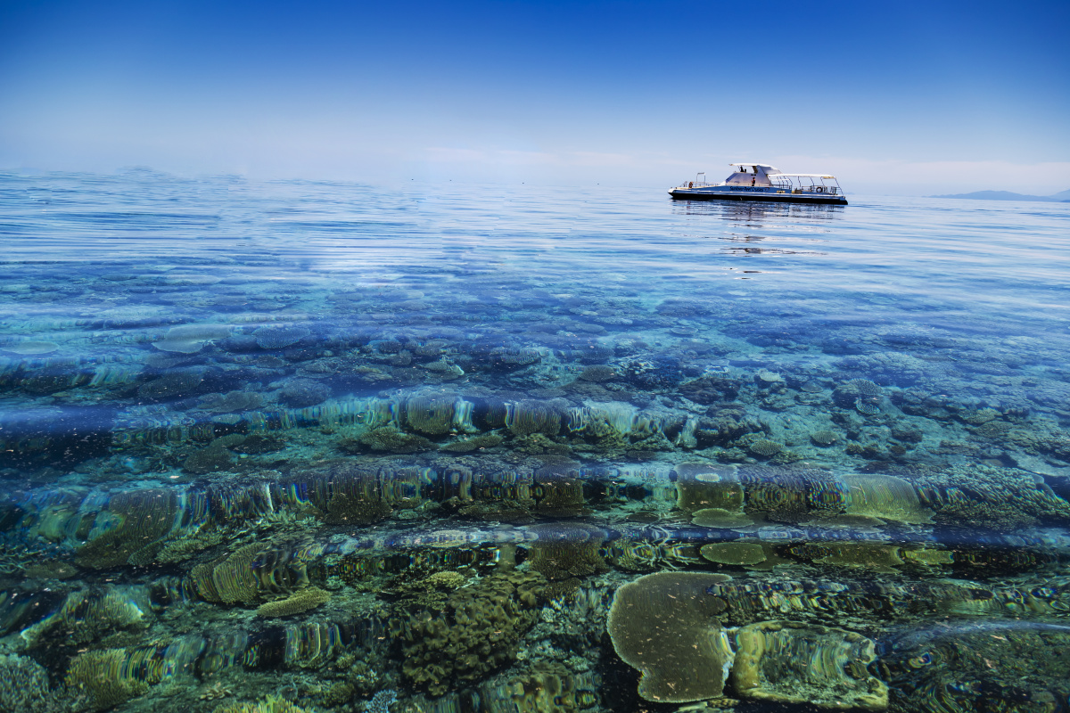 大堡礁海面下的珊瑚礁