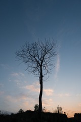 324907