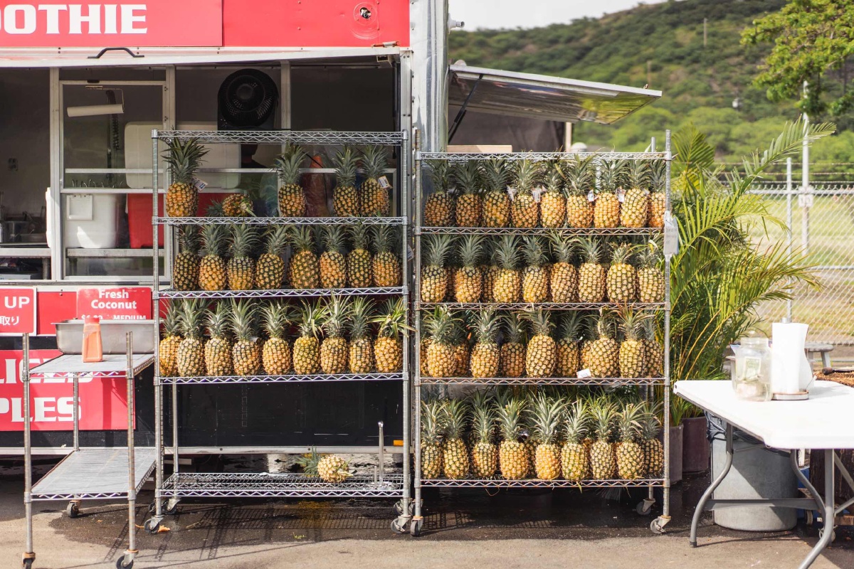 菠萝菠萝大菠萝