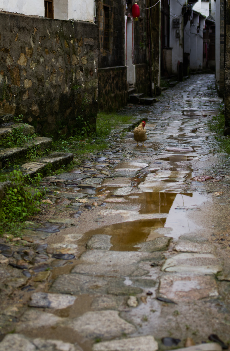 雨中江南古村落