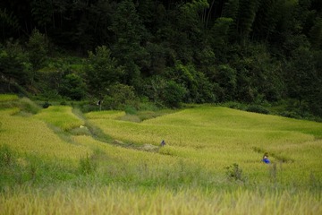 2F46C280-782F-4407-804E-8CDF9A7F71FF/L0/001