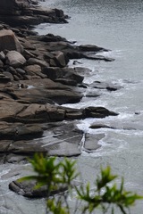 3A64B750-A54B-40E0-9878-C53D46219FE2/L0/001