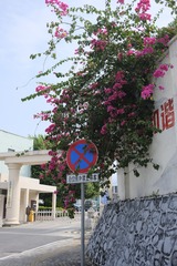 38DC7B26-681F-4366-9D7C-B2E73BA6A925/L0/001