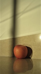 3502568