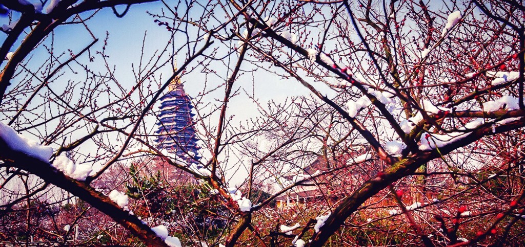 红梅阁