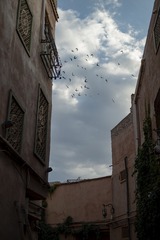 047D9256-3B07-4520-97A1-2FA60EF5B02D/L0/001