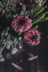 DSCF1642-11