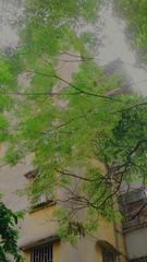 936CDDEA-972B-4C07-9288-B3C8CA0DE0DA/L0/001