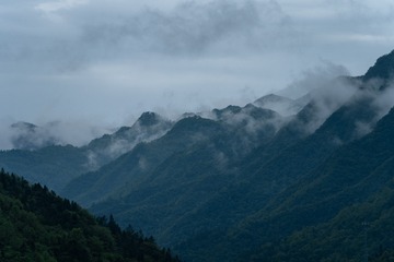 DSC06719-9