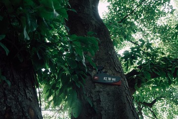 19078