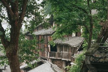 19008
