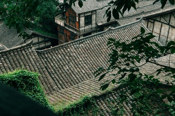 19009