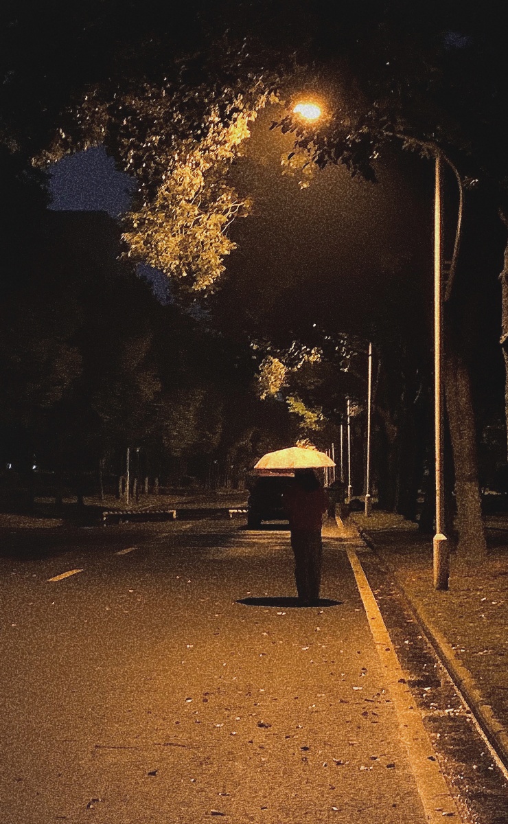 雨伞,路灯,落叶.