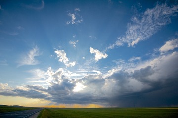 _DSC5092
