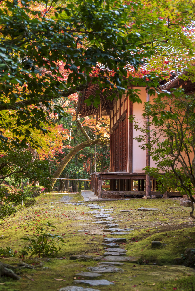 京都苔寺