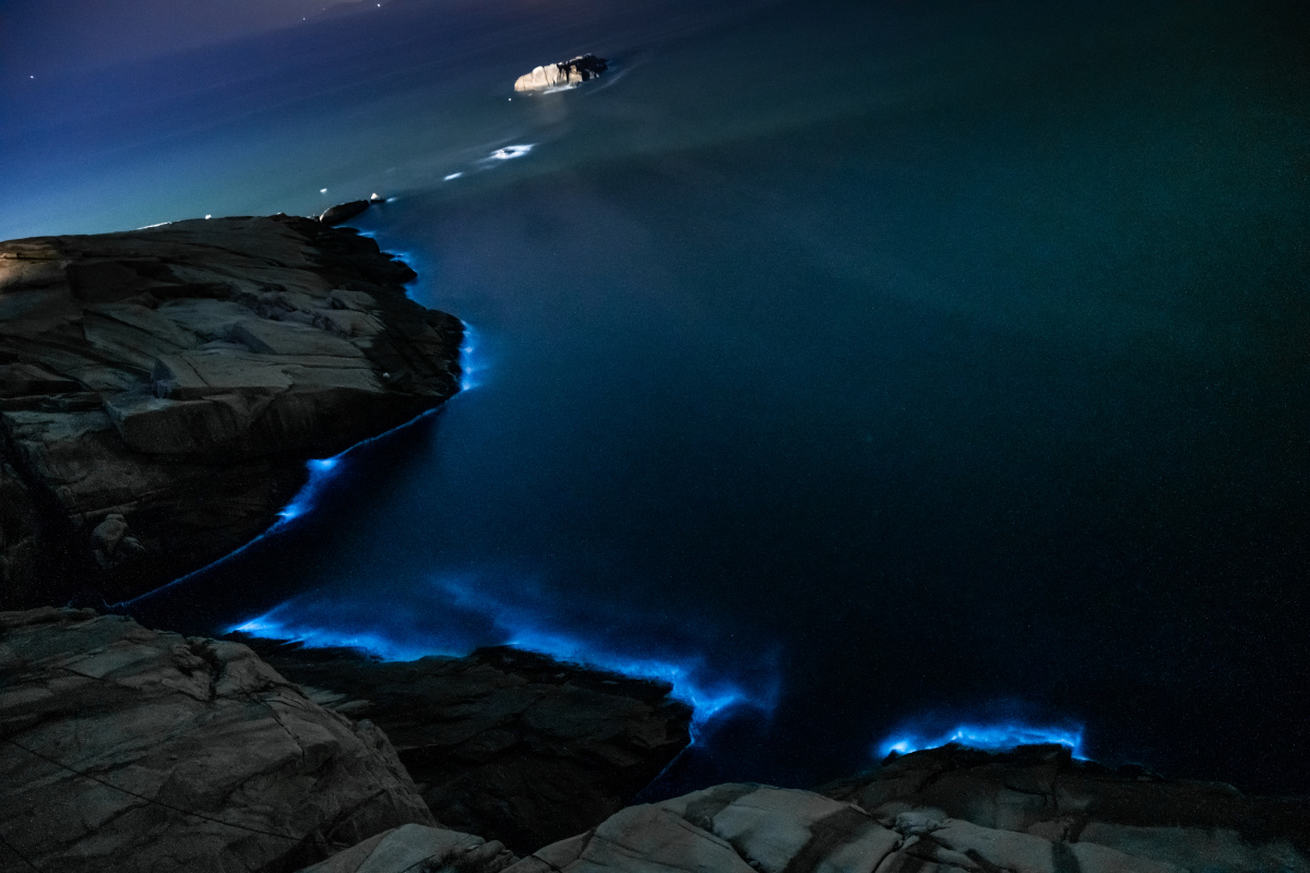 东极岛荧光海天气好赶上的因为岛是峭壁没法下去拍遗憾还有下次谢谢