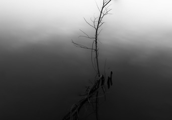 861189