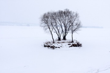 IMG_0195