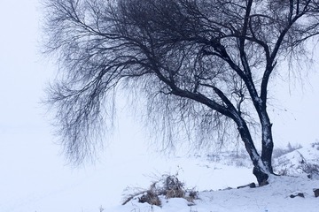 IMG_0204