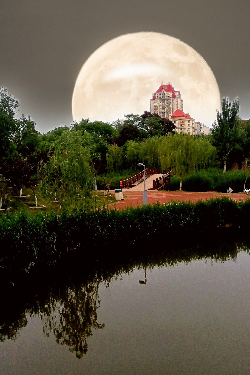 城里的月光把梦照亮