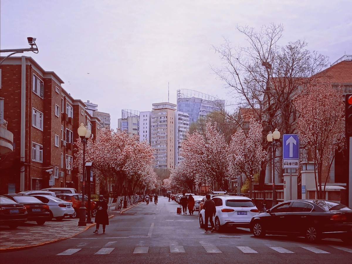 天津大理道随拍