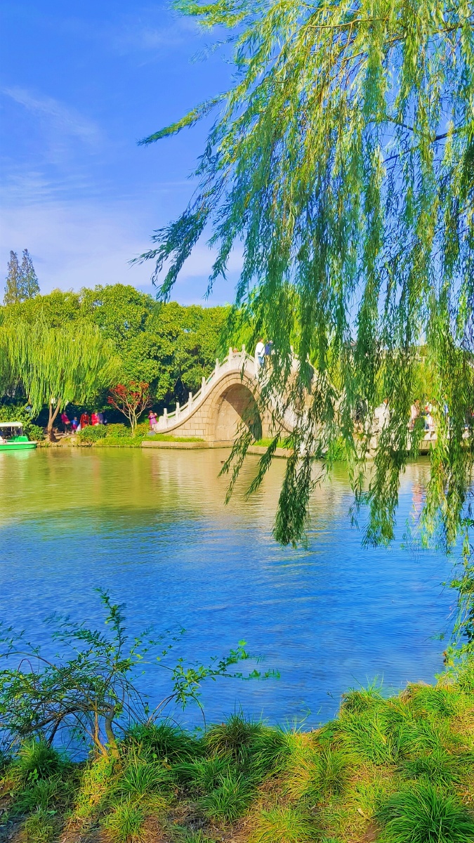 春风又绿江南岸