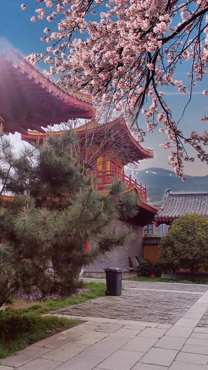 古寺春天