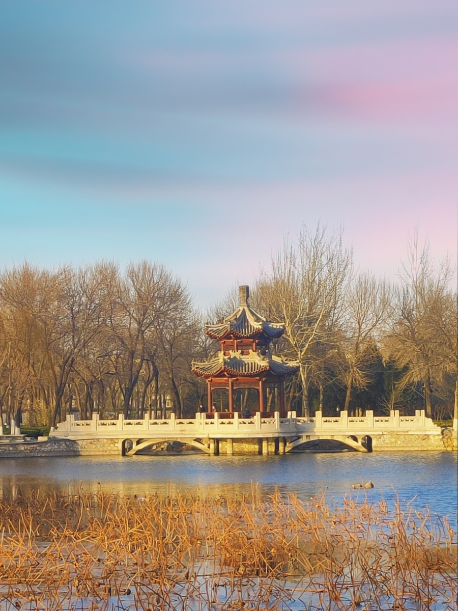 冬去春来