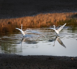 10221