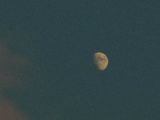 4290532