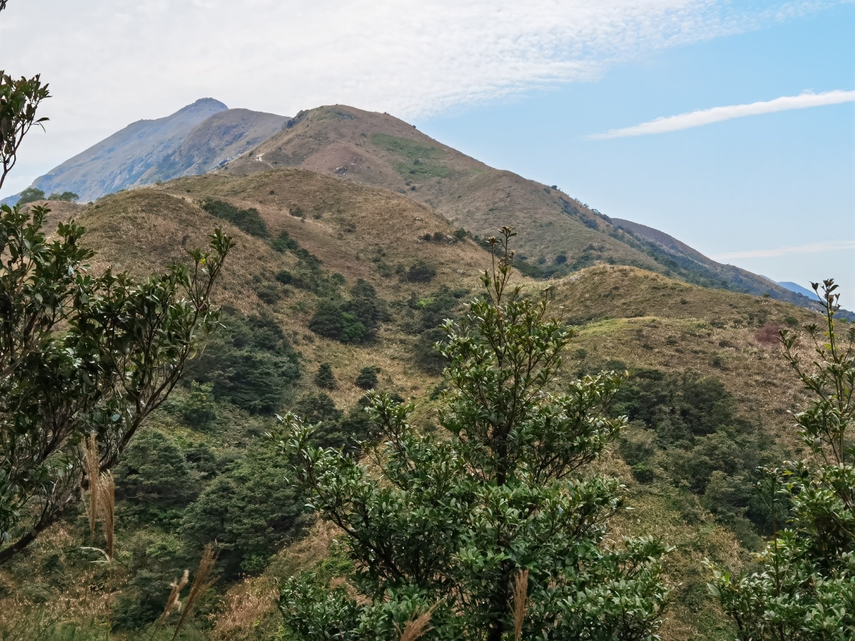 凤凰山凤凰山是香港的第二高峰海拔高为934米风景壮美是摄影爱好者的
