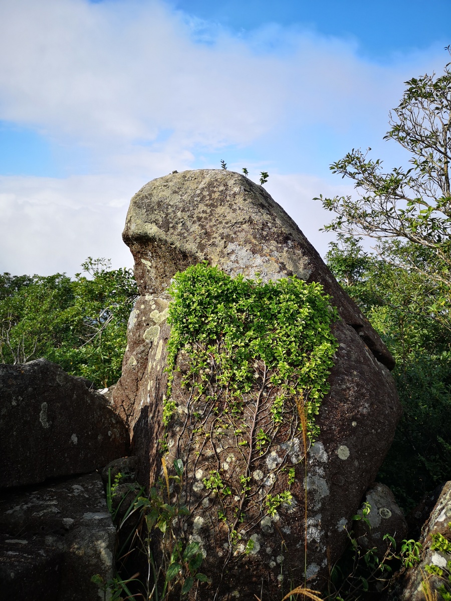 大帽山风景拍摄地香港