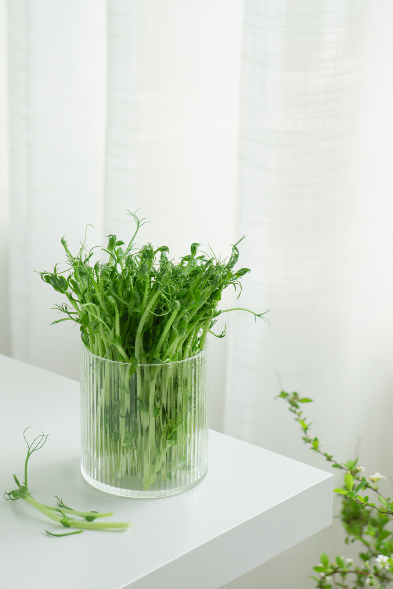 食色入春:豌豆苗