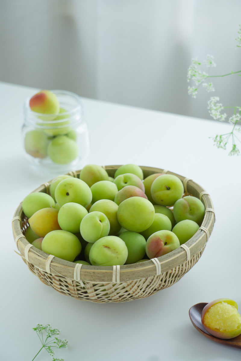 梅子青时岁月入酒