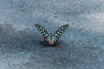 FED3F843-0E8C-402F-BDEB-4CE9CA1FC068/L0/001