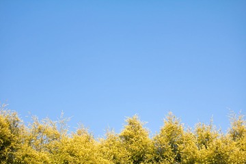 91652
