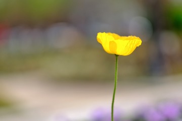 7D8CA40D-975D-4EDC-AA3A-CD24E8A755DC/L0/001